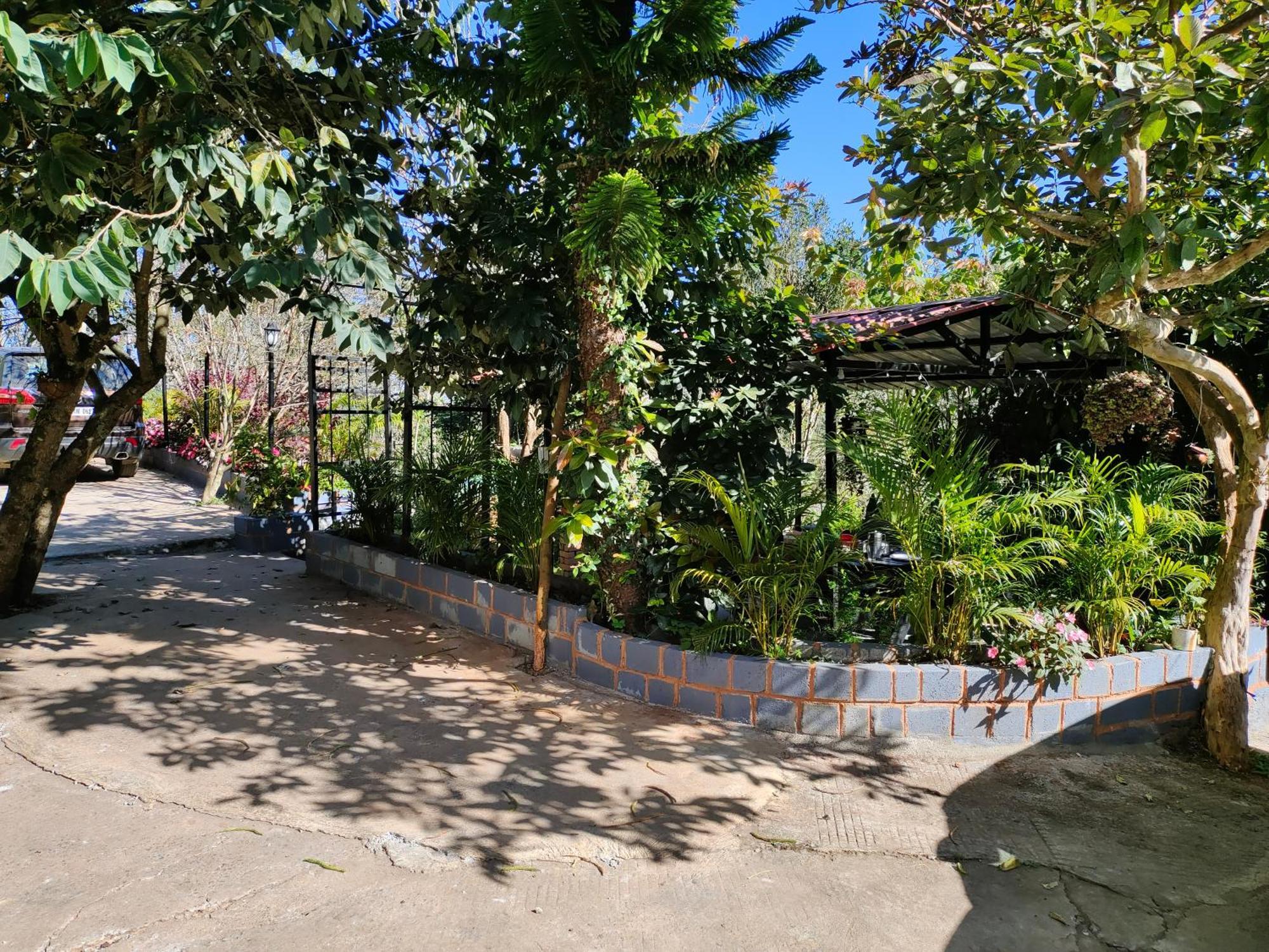 Pear Tree Entire 2Bhk Villa קוטאגירי מראה חיצוני תמונה