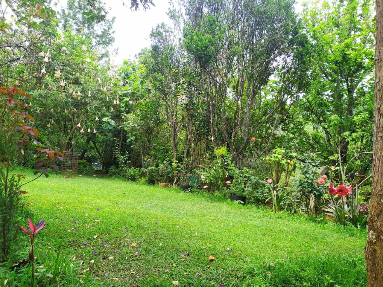 Pear Tree Entire 2Bhk Villa קוטאגירי מראה חיצוני תמונה